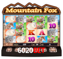 6020bet App Interface